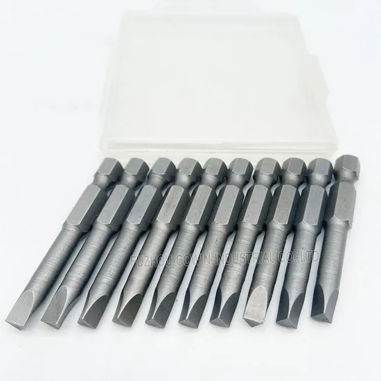10 Piece S2 Double Head Screwdriver Bit, Double End Screwdriver Bit (WW