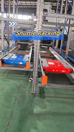 Automatic Shelving System Powder Coated Steel Rack Metal Shelving Pallet Shuttle Racking System for Garage Warehouse Storage 