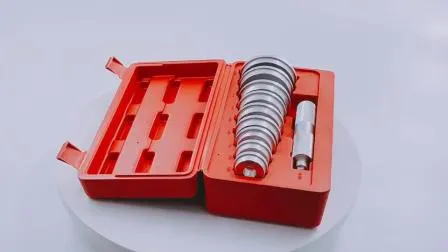 10PCS Wheel Bearing Race Puller Removal Tool Seal Driver Kit 